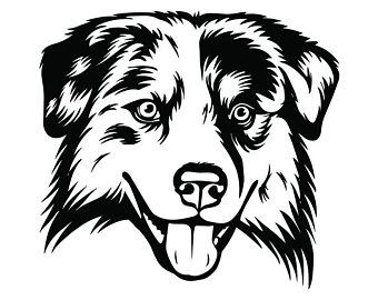 340x270 Australian Shepherd Etsy