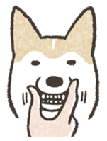 Shiba Drawing