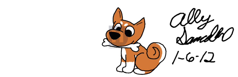 900x293 Shiba Inu With Bone Drawing