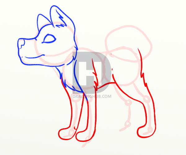 600x500 How To Draw A Cartoon Shiba Inu, Step