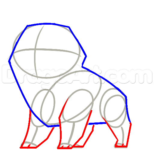 512x512 How To Draw A Shiba Inu, Step