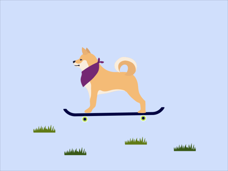 800x600 Shiba On Skateboard