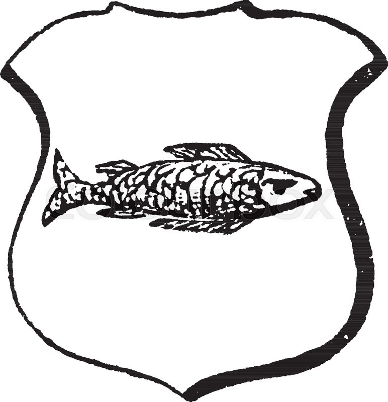 772x800 naiant are head towards the sinister side of the shield, vintage