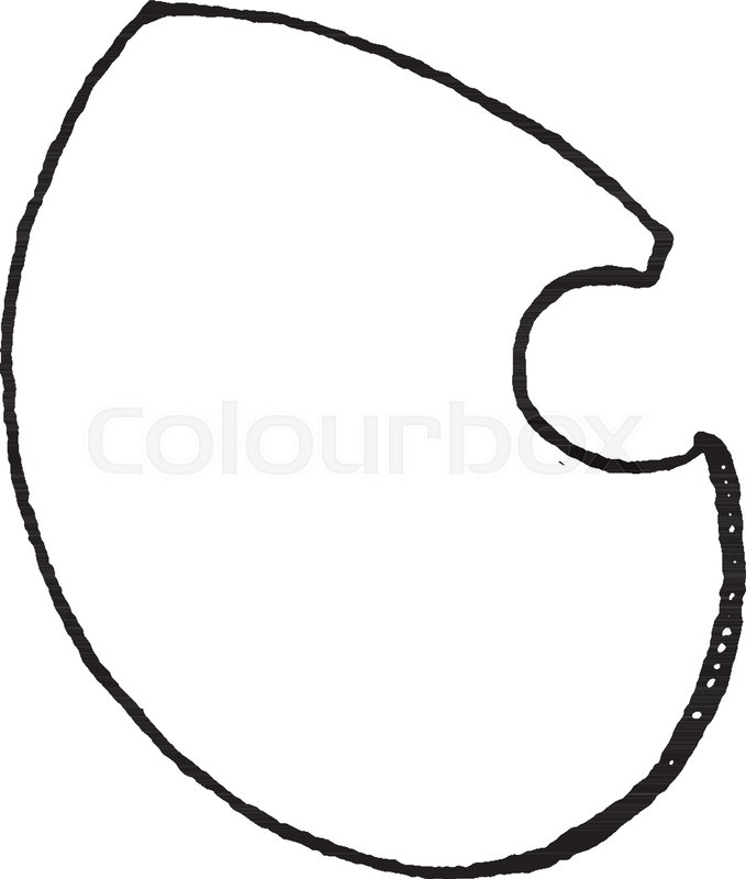 679x800 Tilting Shield Is To Be Distinguished In Modern Heraldry, Vintage