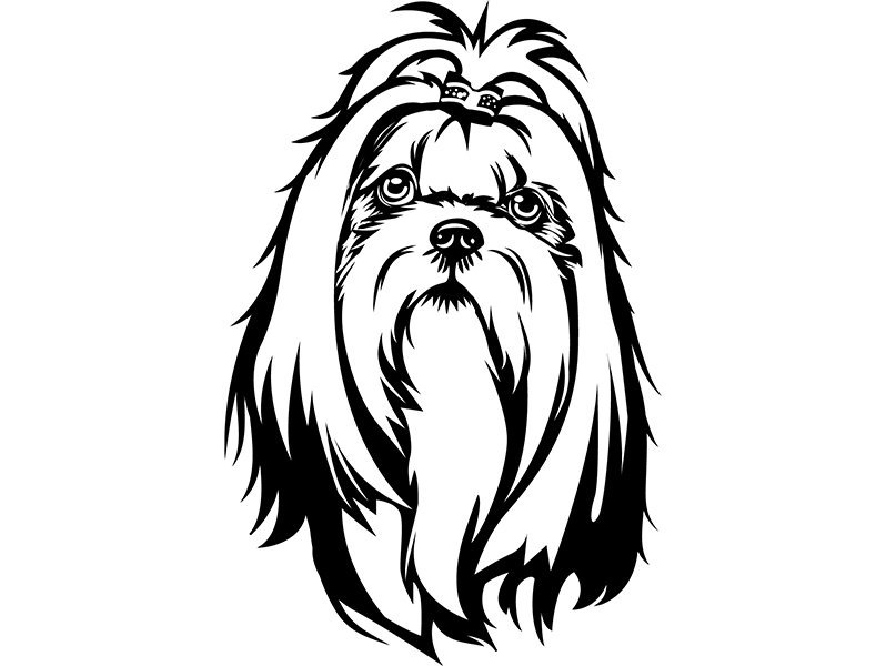 Shih Tzu Drawing | Free download on ClipArtMag