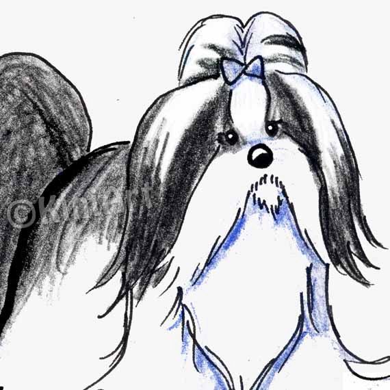 Shih Tzu Drawing | Free download on ClipArtMag