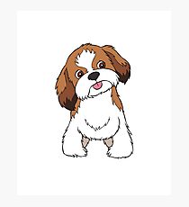 210x230 Shih Tzu Drawing Photographic Prints Redbubble