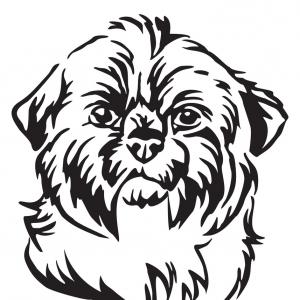 300x300 Shih Tzu Hand Drawing Vector Shopatcloth