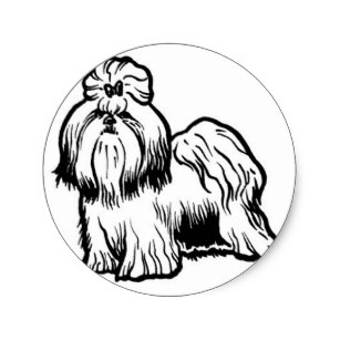 307x307 Shih Tzu Stickers Zazzle Au