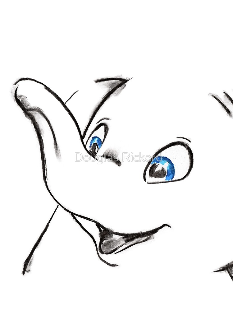 750x1000 Where Pictures Shine