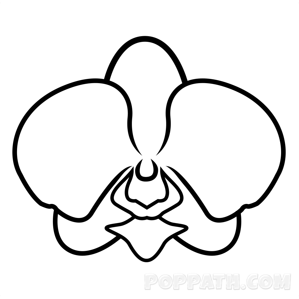 1000x1000 Ship Line Drawing