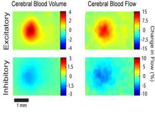 320x233 Insights Archives