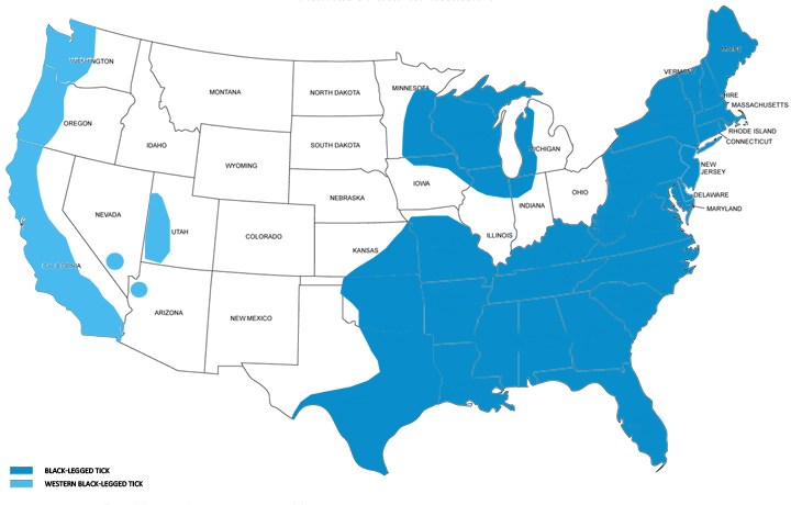 720x460 conservation archives