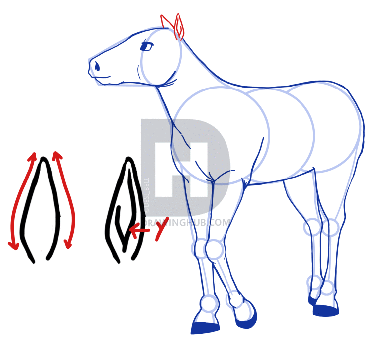 757x720 How To Draw Anime Horses, Step