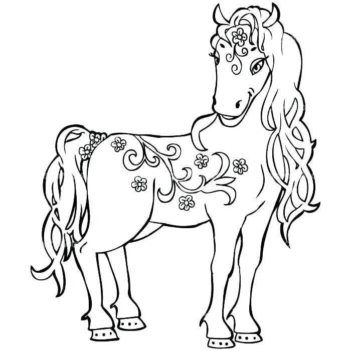 700x700 Shire Horse Coloring Pages Horses Free