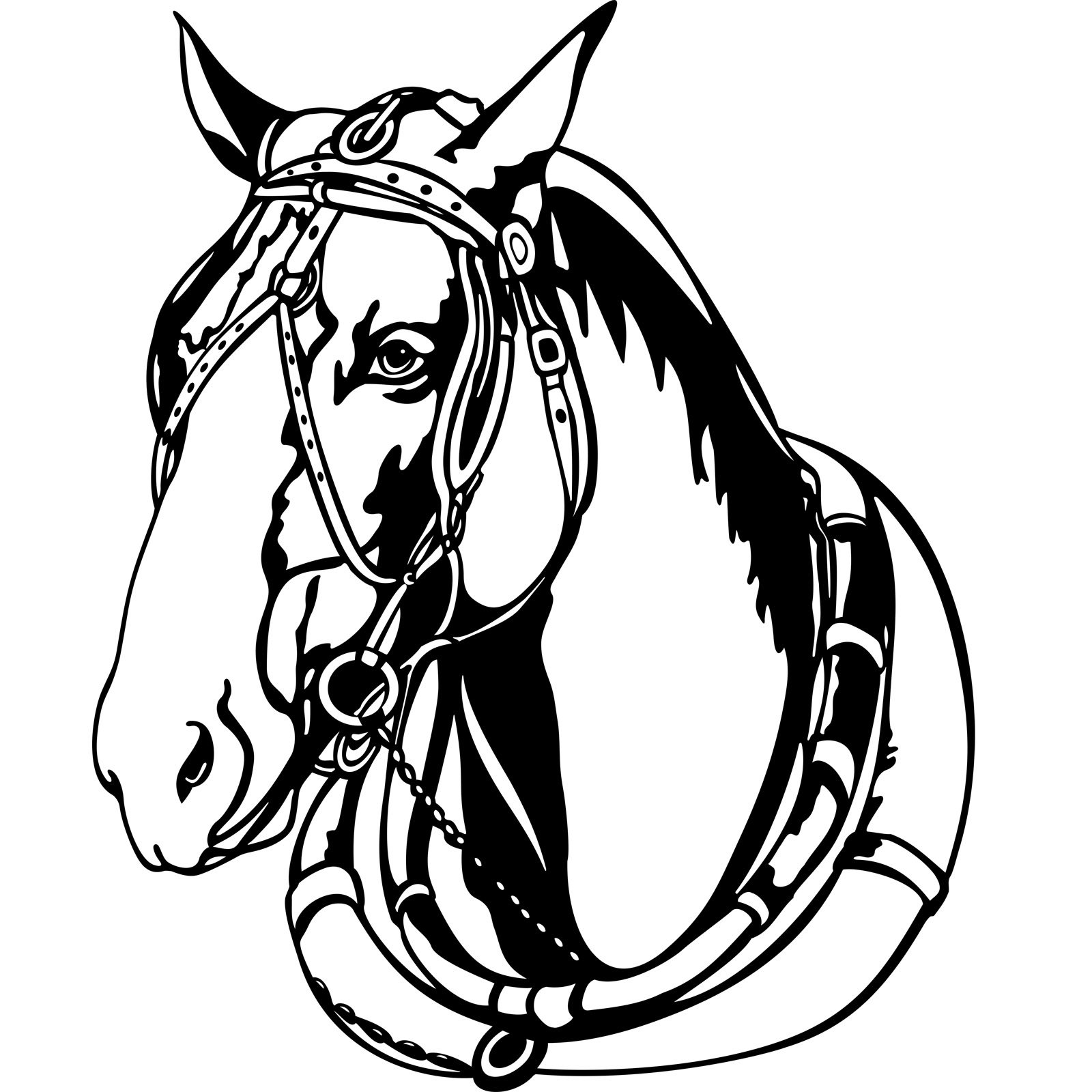 1600x1600 Shire Horse Head With Harness Wall Sticker Decal