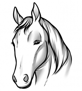 273x302 Draw Horse Heads And Faces, Step