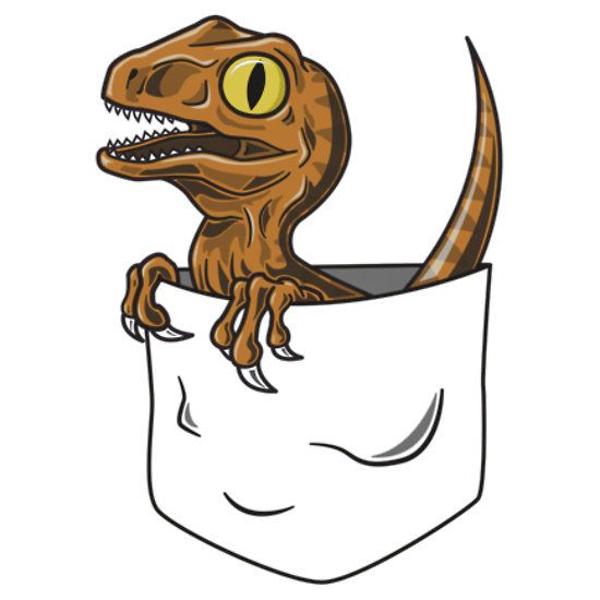 550x550 Pocket Raptor T Shirt' Kids Clothes