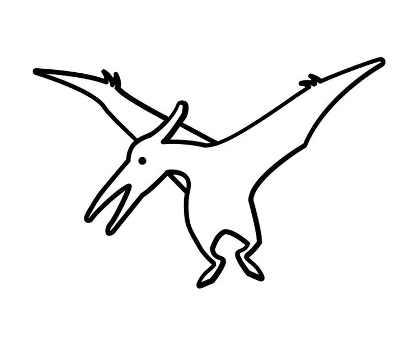 794x668 Pterodactyl Dinosaur Shirt Pocket Shirt Bird Jurassic Etsy