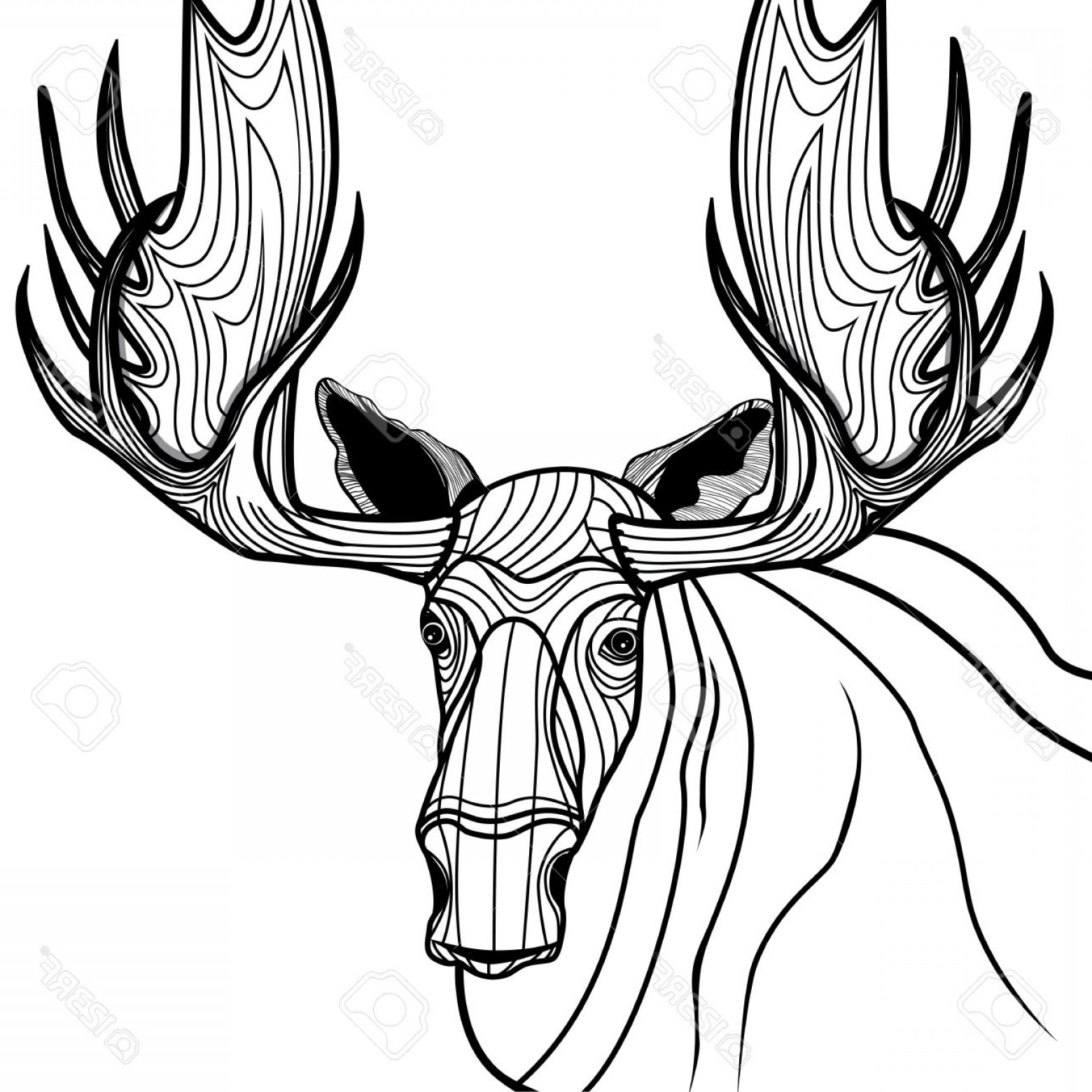 1560x1560 Photostock Vector Moose Head Vector Animal Illustration For T