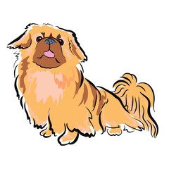 240x240 Search Photos Lion Dog