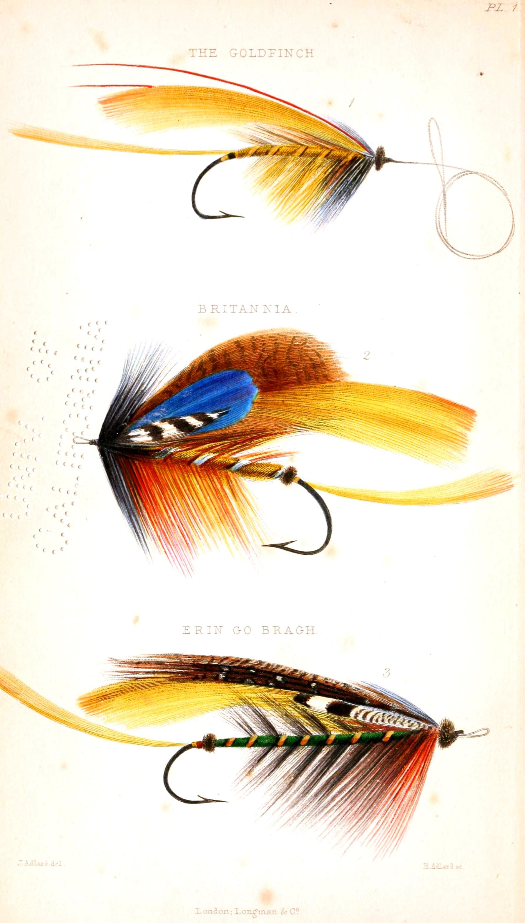 1784x3135 sketch drawing of fly tying vise and design