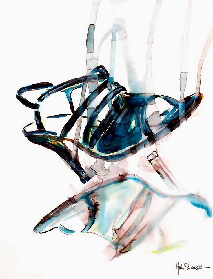 735x961 Mark Schwartz If The Shoe Fits, Paint It!