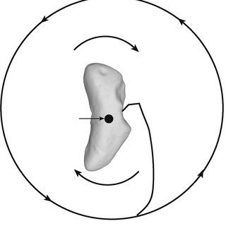 320x320 Near Shoemaker On Eros' Surface Download Scientific Diagram