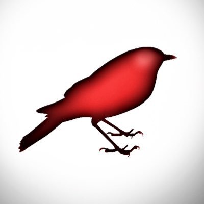 400x400 The Secret Birder On Twitter Huh Have You Been To A Shopping