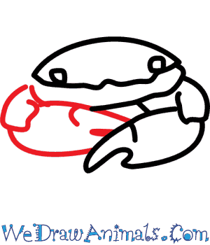 300x350 How To Draw A Shore Crab