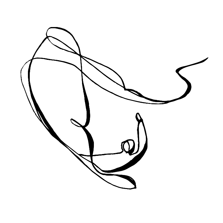 734x734 Drawings Line Jessa Gilbert