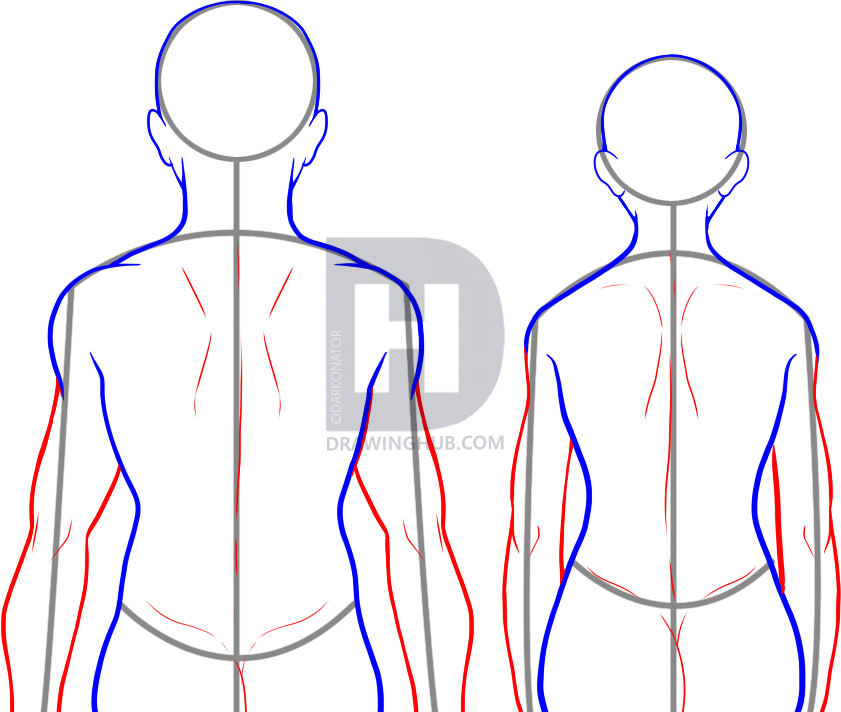841x712 How To Draw A Back, Step