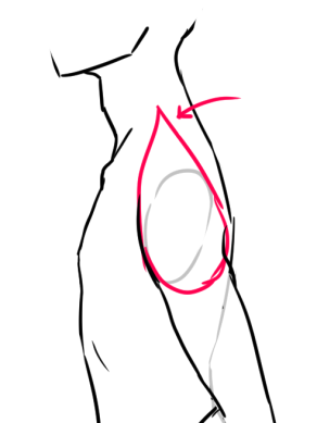292x389 Z E M A E L Ho Would You Draw Shoulders From The Side I've