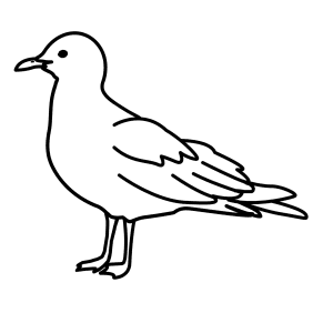 300x300 Learn How To Draw Animals Step