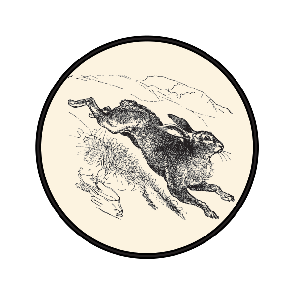 600x600 Printed Vinyl Rabbit Figure Stickers Factory