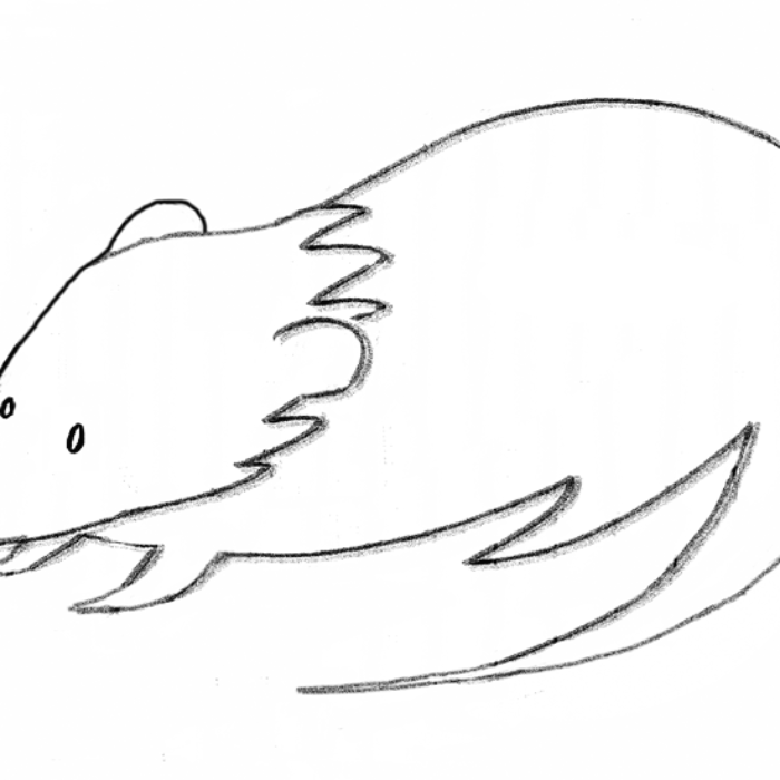 700x700 Shrew