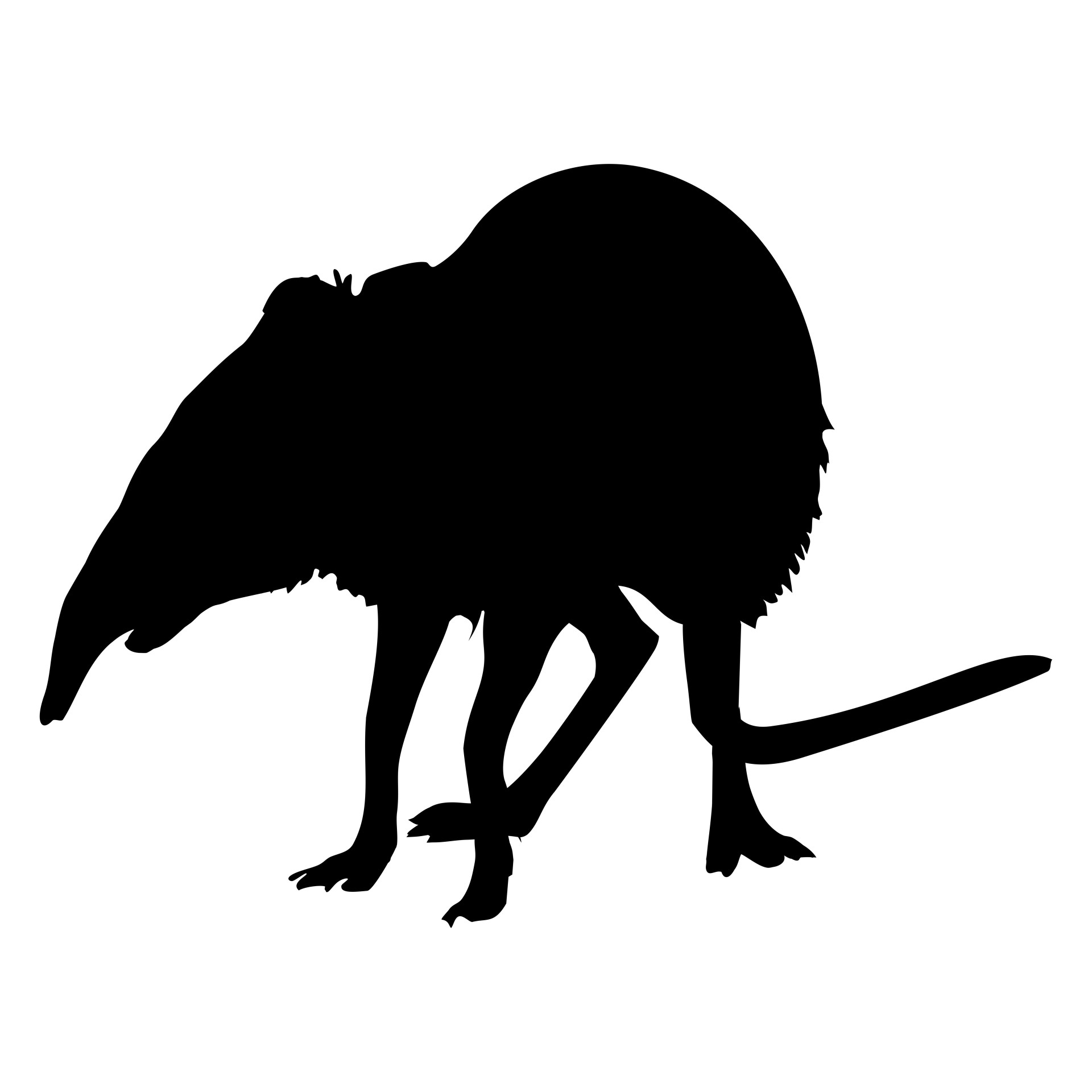 1920x1920 Silhouette, Mole, Shrew, Icon, Symbol