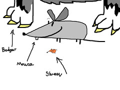 240x180 The World's Best Photos Of Drawing And Shrew