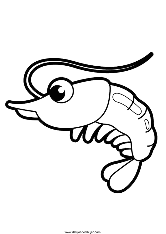 530x748 Coloring Drawings Shrimp Archives