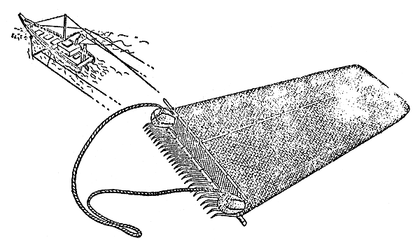 600x353 Proceeding Of The World Scientific Conference On The Biology