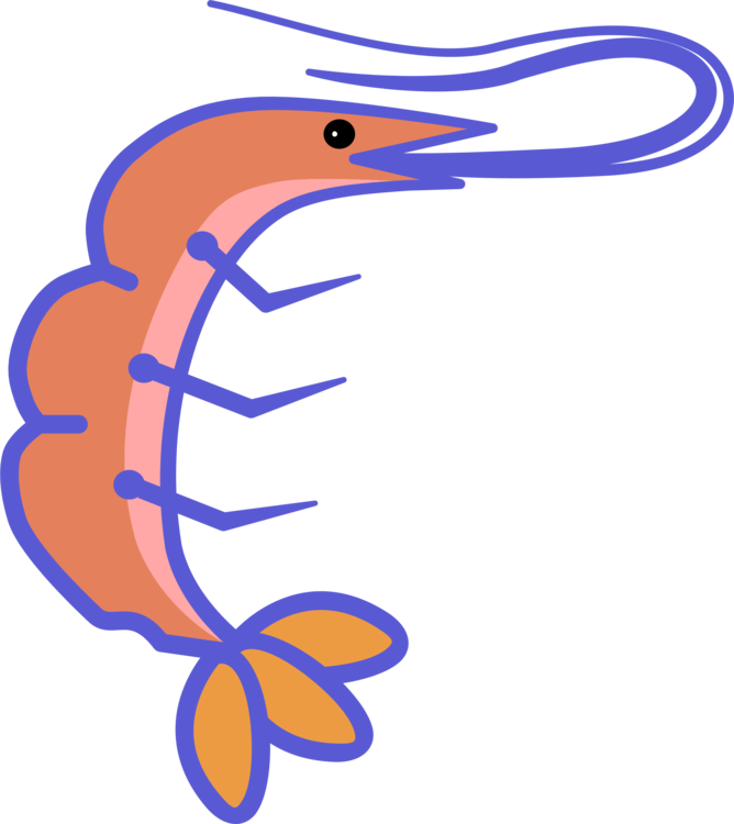 668x750 Seafood Drawing Shrimp Transparent Png Clipart Free Download