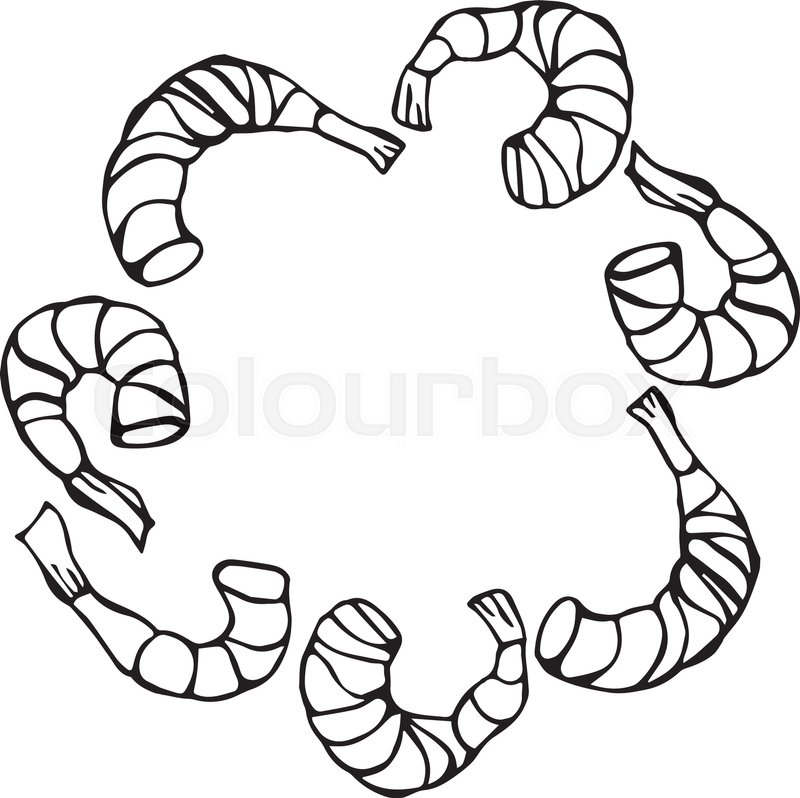 800x798 cooked shrimp or prawn cocktail stock vector colourbox