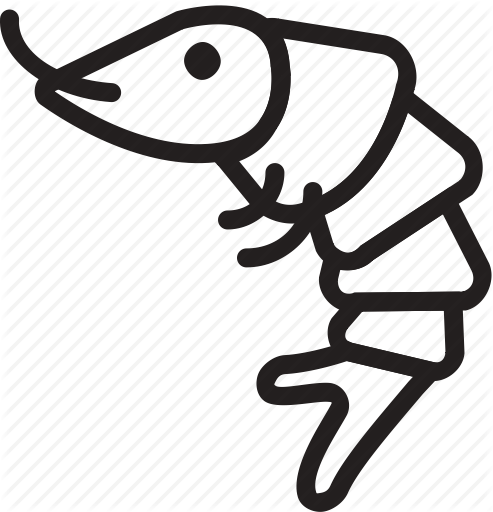 493x512 Cooking, Food, Gastronomy, Shrimp Icon