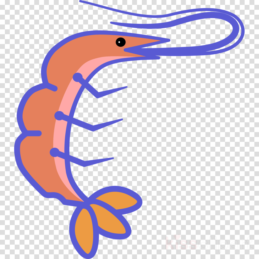 900x900 Drawing, Shrimp, Illustration, Transparent Png Image Clipart