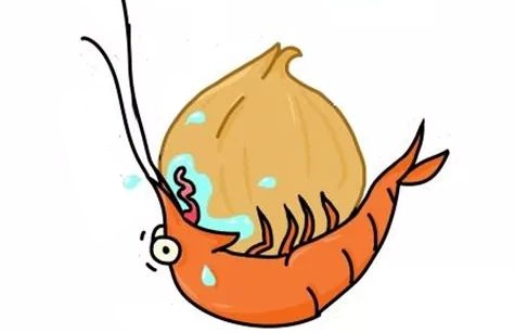 475x307 I Have Seen Some Nice Shrimp Drawing Here, So I Want To Share One