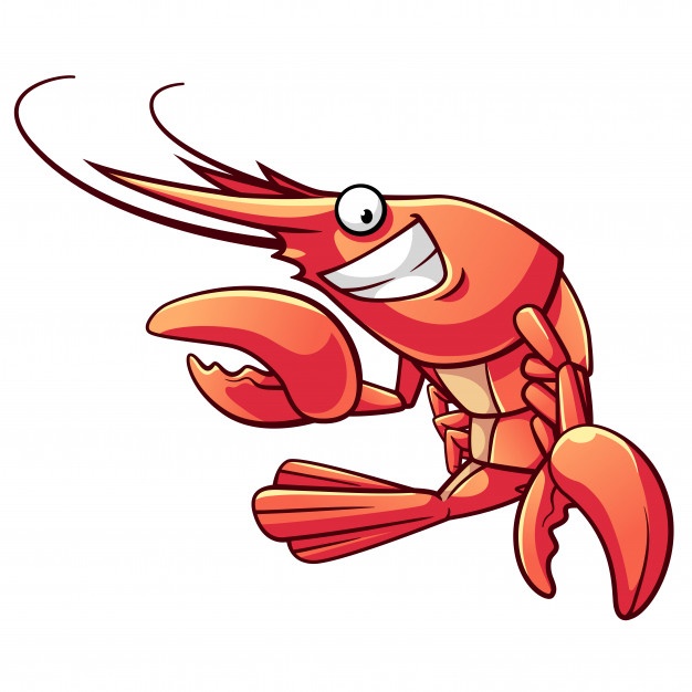 626x626 Shrimp Vectors, Photos And Free Download