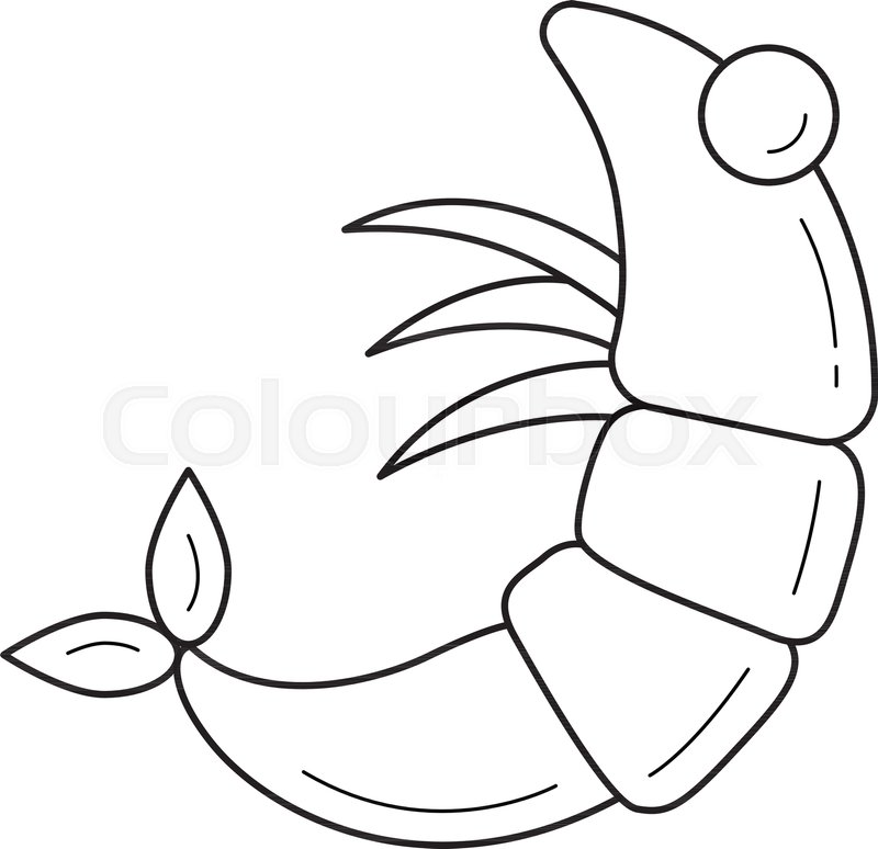 800x774 Shrimp Line Icon Isolated On White Stock Vector Colourbox