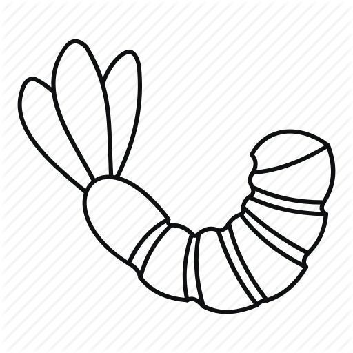 512x512 food, isolated, line, outline, prawn, seafood, shrimp icon