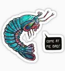 210x230 Funny Shrimp Drawing Stickers Redbubble
