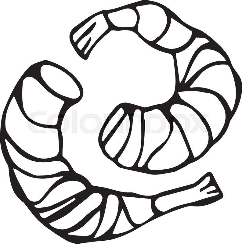 793x800 Isolated On A White Background Doodle Stock Vector Colourbox